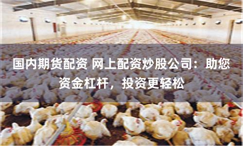 國(guó)內(nèi)期貨配資 網(wǎng)上配資炒股公司：助您資金杠桿，投資更輕松